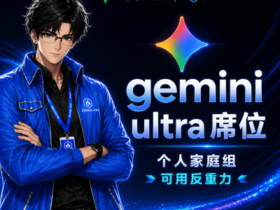 Gemini Ultra 家庭组席位（质保整月）