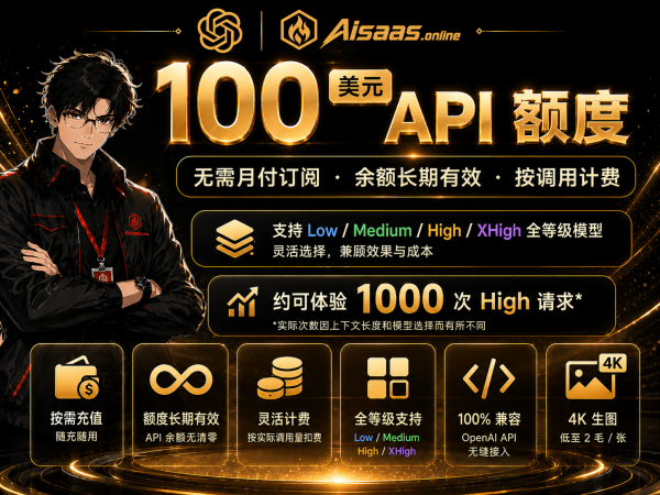 100刀codex api