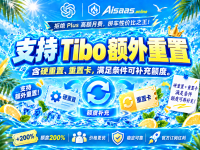 1300刀（拼车codex 20x-30天有效期） 